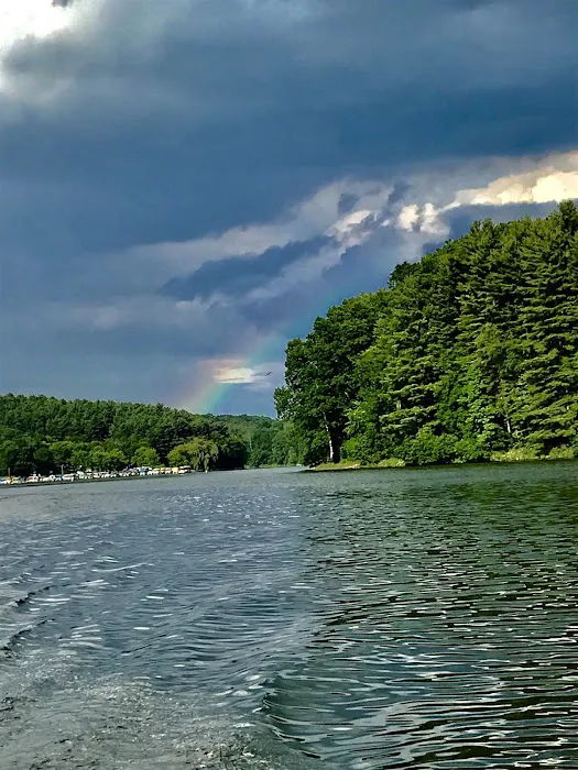 Petersburg Marina & Campgrounds Picture 3