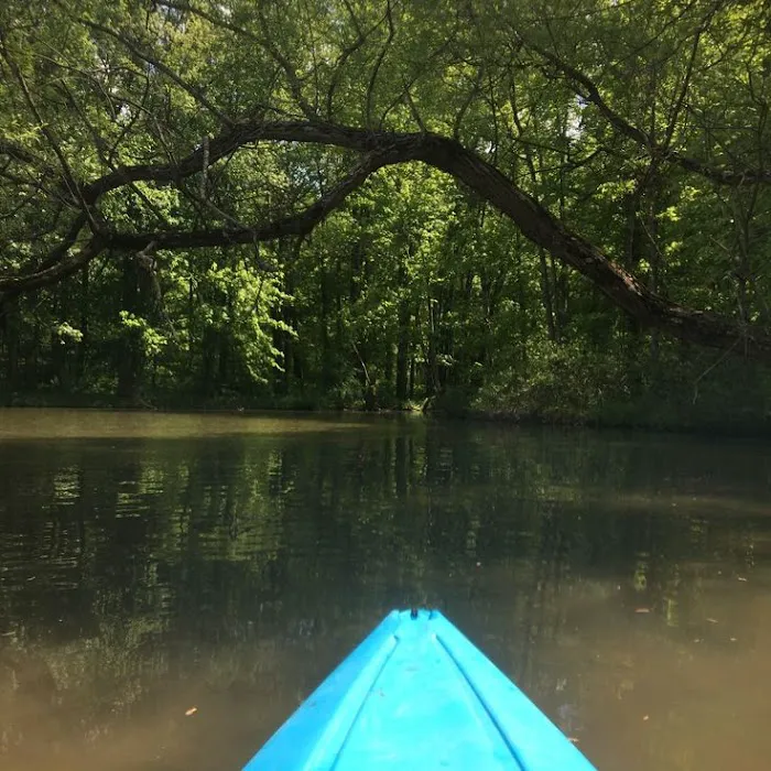 Leesville North Fork Marina & Campground Picture 8