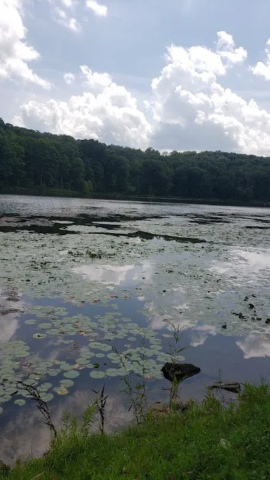 Leesville North Fork Marina & Campground Picture 4