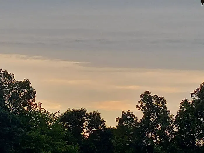 Atwood Lake Country Campground Picture 2