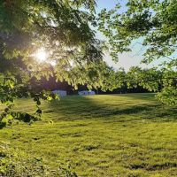 Oak Ridge Campground ico