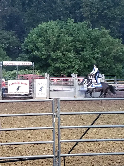 Wetzel County 4H Camp Picture 8