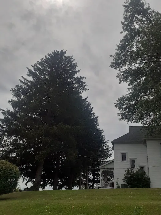 Harrison Park RV Camp Picture 2