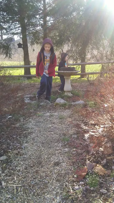 Paden City Park Campground Picture 8