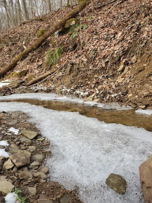 Piatt Park Campground Picture 6