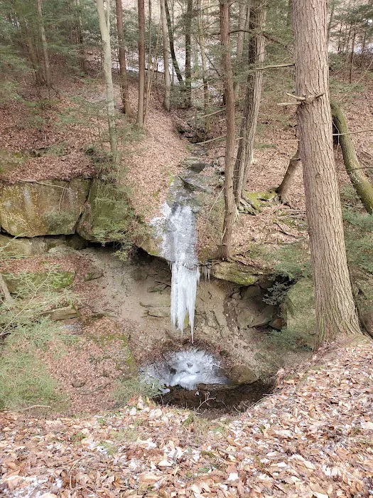 Piatt Park Campground Picture 5