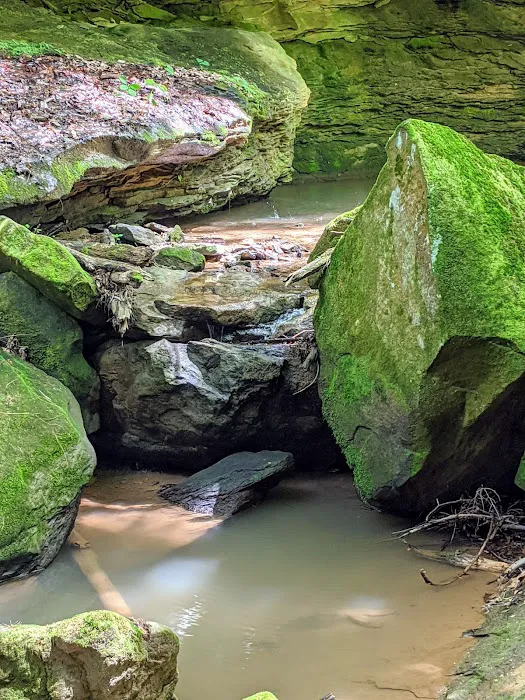 Piatt Park Campground Picture 1