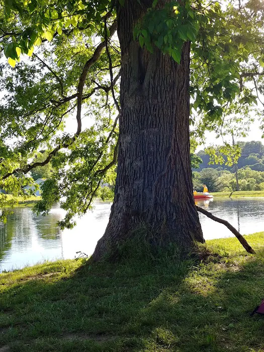 Big Arb's Campground Picture 1