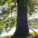 Big Arb's Campground