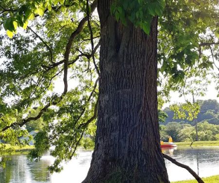 Big Arb's Campground