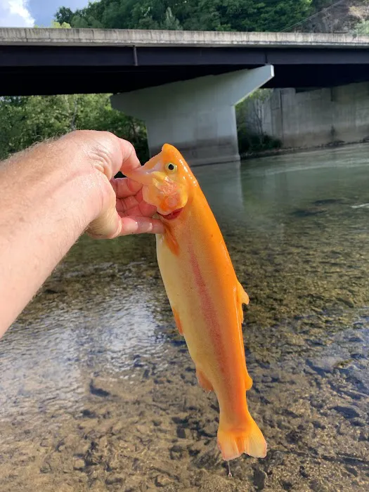 Fishermen paradise campground Picture 1