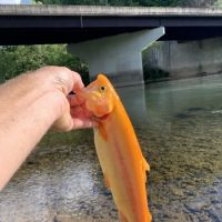 Fishermen paradise campground ico