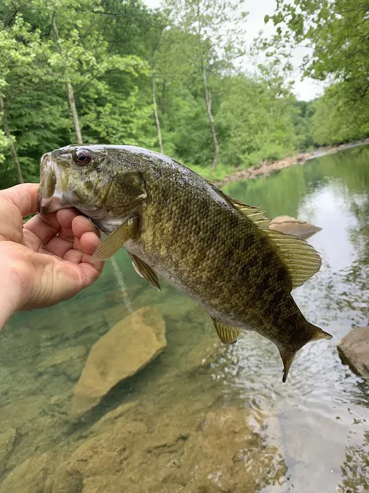 Fishermen paradise campground Picture 7