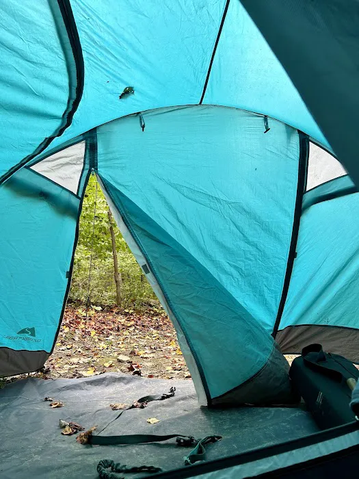 Tygart Lake State Park Campground Picture 1