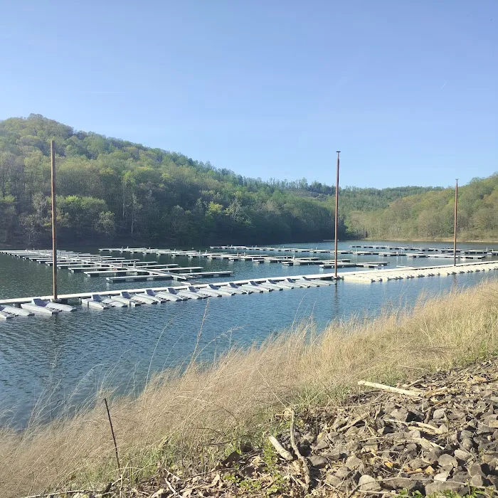 Tygart Lake State Park Campground Picture 2