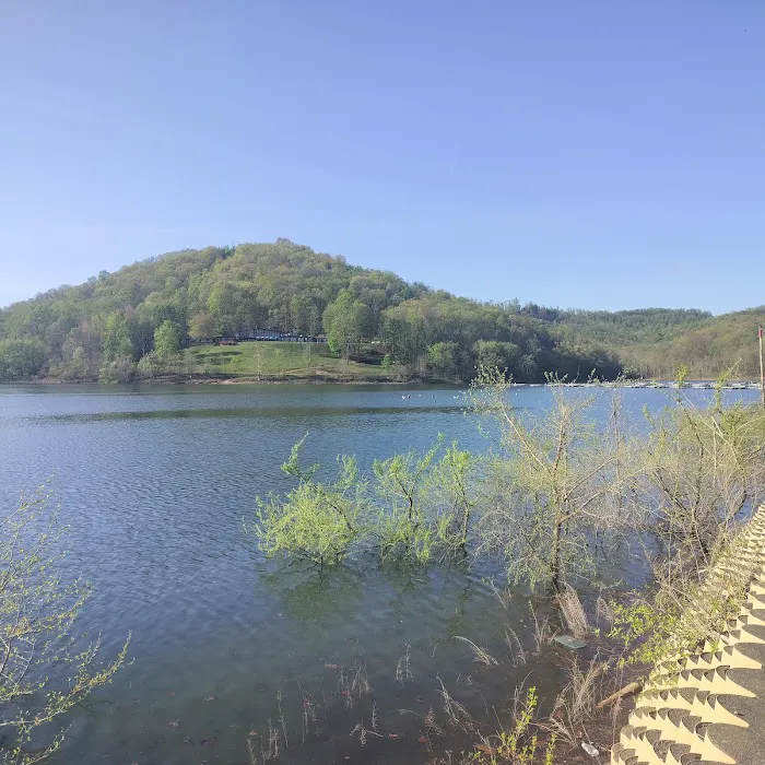 Tygart Lake State Park Campground Picture 3