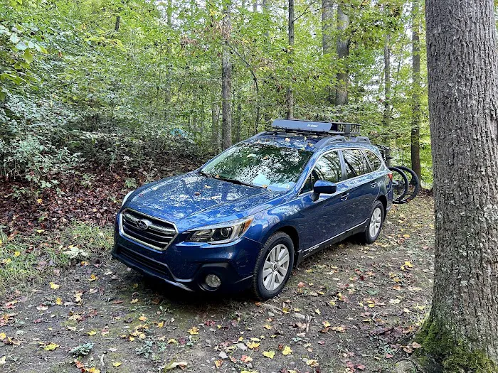 Tygart Lake State Park Campground Picture 7