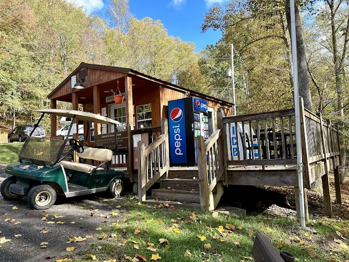 Tygart Lake State Park Campground Picture 5