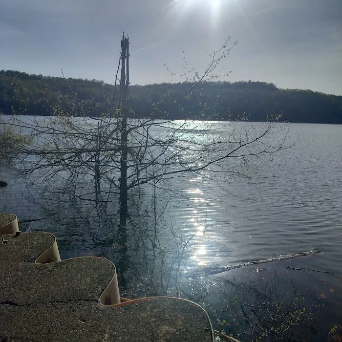 Tygart Lake State Park Campground Picture 4