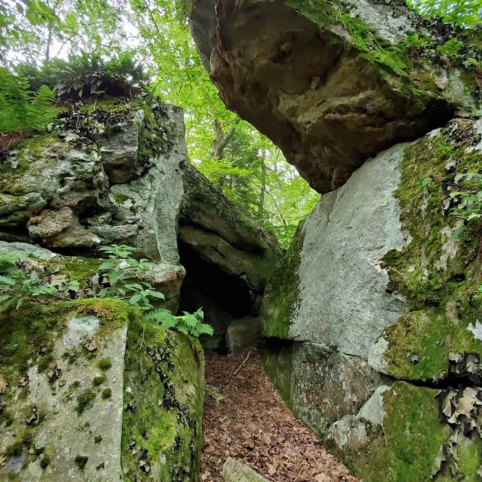 Bear Heaven Campground Picture 7