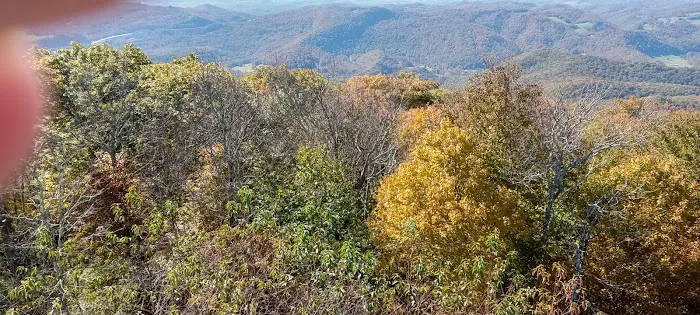 Bear Heaven Campground Picture 3