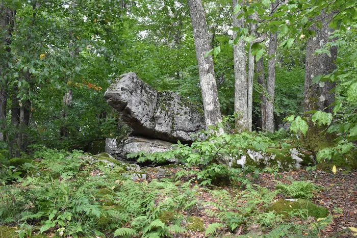 Bear Heaven Campground Picture 6