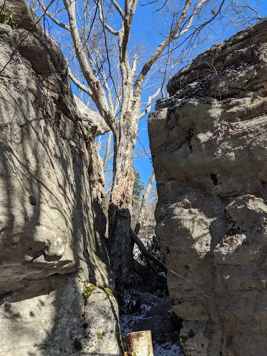 Bear Heaven Campground Picture 1