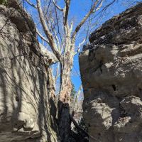 Bear Heaven Campground ico