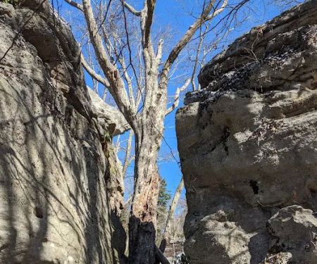 Bear Heaven Campground
