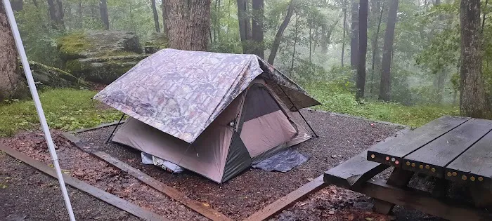 Bear Heaven Campground Picture 2