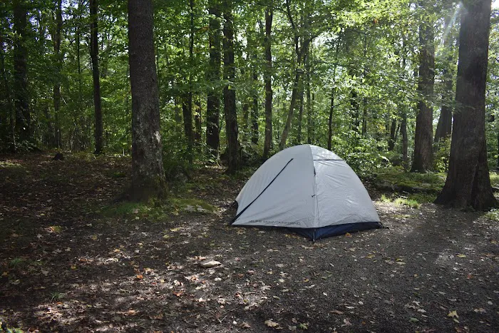 Bear Heaven Campground Picture 8