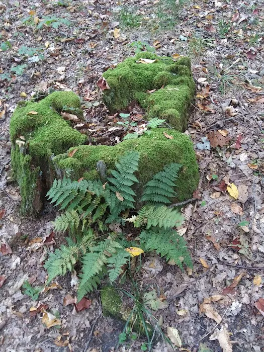 Bear Heaven Campground Picture 10