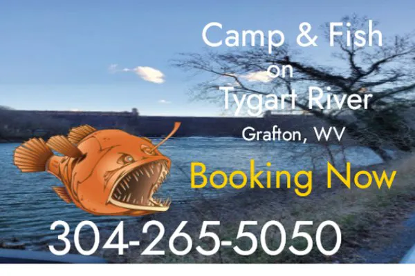 BaitFishCamping Picture 2