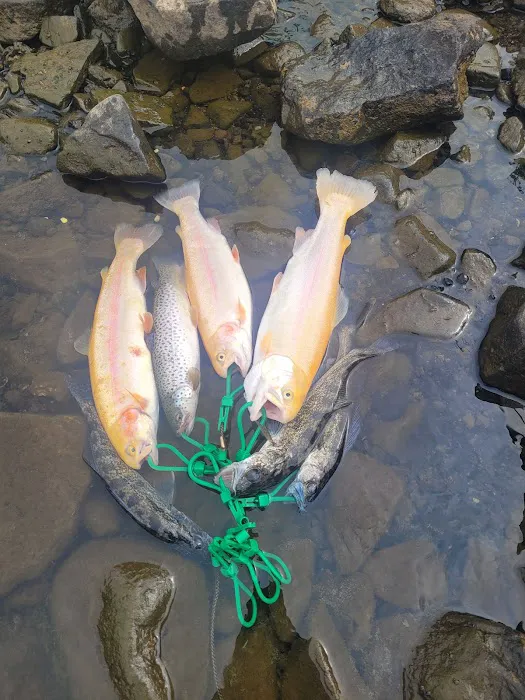 Grafton City Park and Campground Picture 9