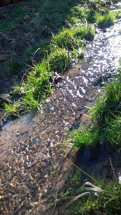 Camp Faith Youth Camp Picture 4