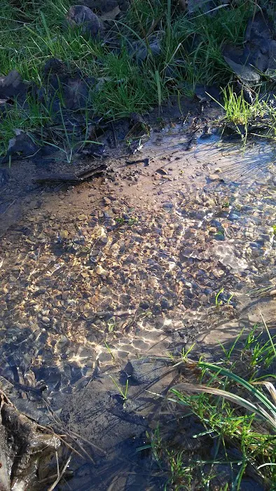 Camp Faith Youth Camp Picture 3