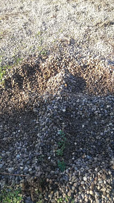 Camp Faith Youth Camp Picture 10