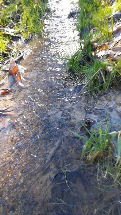 Camp Faith Youth Camp Picture 2