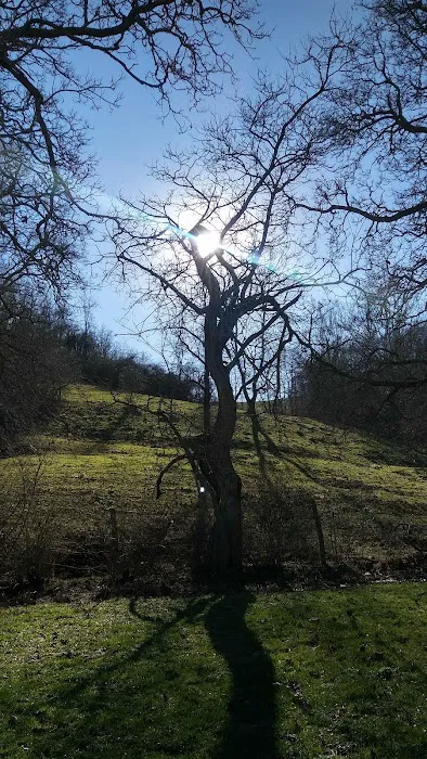 Camp Faith Youth Camp Picture 7