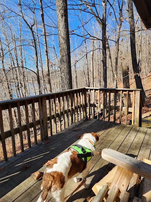 Tygart Lake Cabins Picture 4
