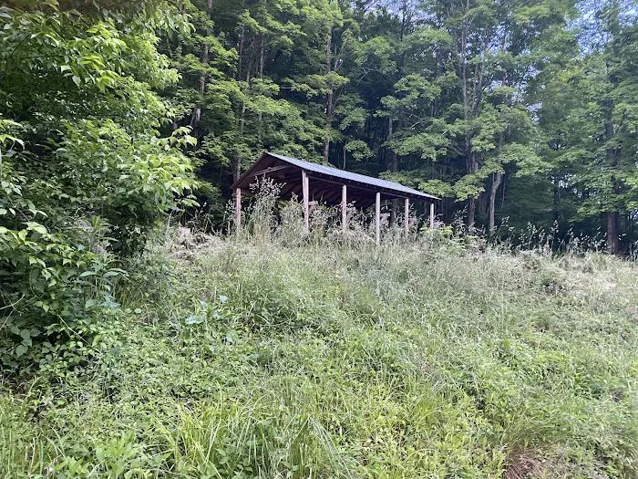 Camp Bermuda Triangle Picture 2