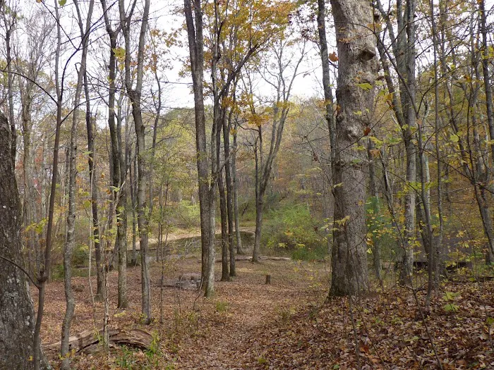 Punchbowl Shelter Picture 3