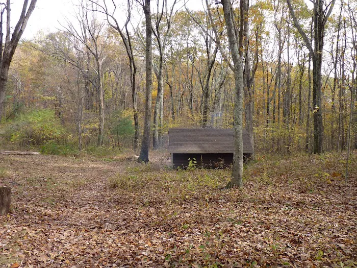 Punchbowl Shelter Picture 5