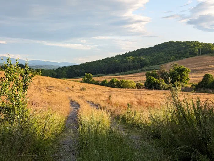 Campground At Lee Hi Travel Plaza Picture 3