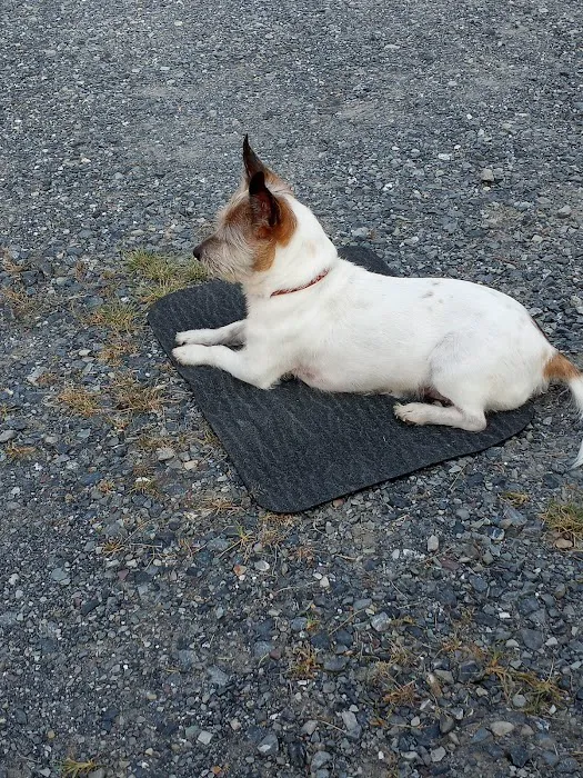 Campground At Lee Hi Travel Plaza Picture 9