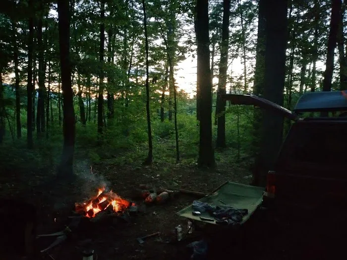 Washington/Jefferson National Forest - campsite Picture 2