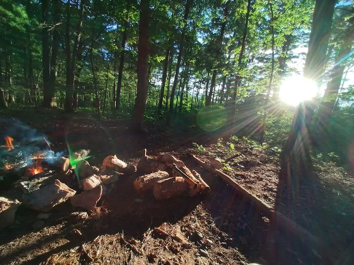 Washington/Jefferson National Forest - campsite Picture 4