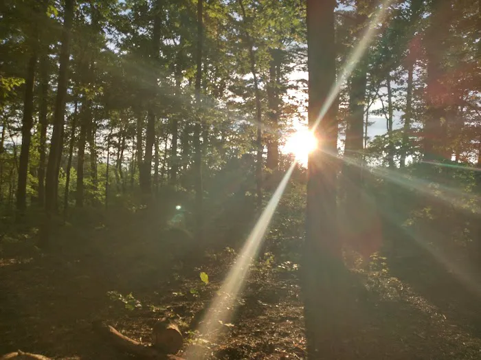 Washington/Jefferson National Forest - campsite Picture 1