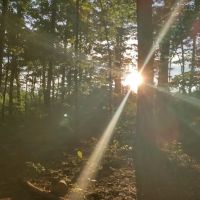 Washington/Jefferson National Forest - campsite ico