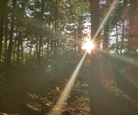 Washington/Jefferson National Forest - campsite